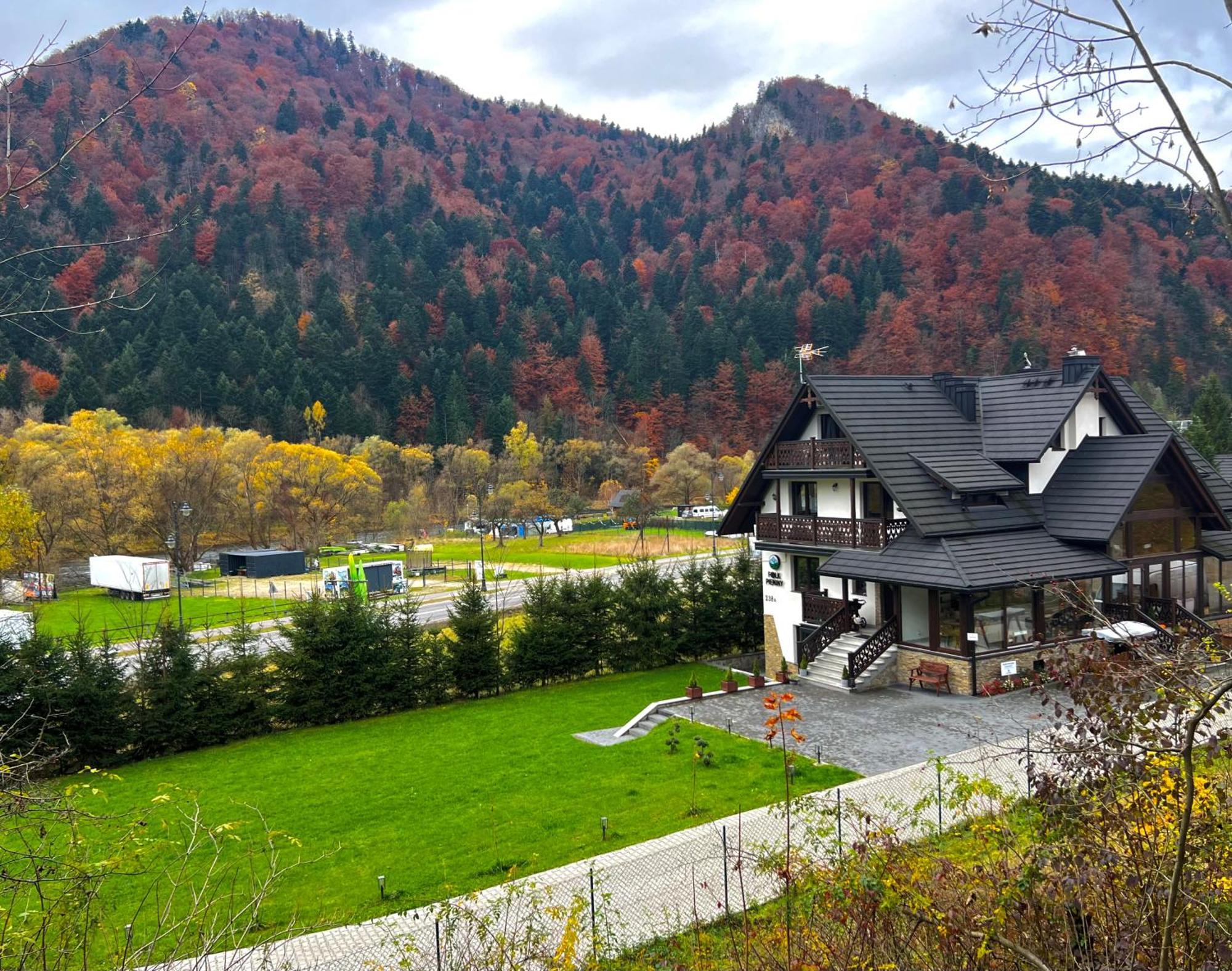 Willa Folk Pieniny Шавница Экстерьер фото